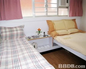 海洋宾馆提供套房短租,旅馆短租,旅馆住宿等服务