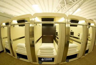 跟着地铁8号线的脚步去逛吃