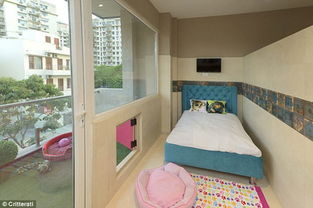 探访印度首家宠物狗旅馆 有水疗设备和游戏室