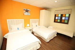 早鸟优惠 女神都为之疯狂的七大海岛,下单立减还送神秘好礼