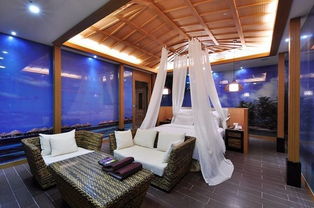 金土逆行上演内心的纠结 12星座8月旅游运势 上