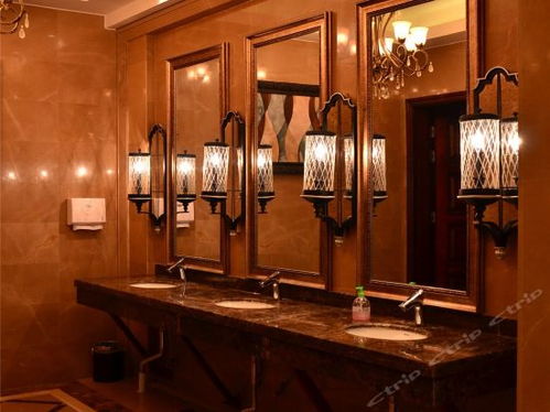 辉县华隆丽都精品酒店 辉县共城大道店