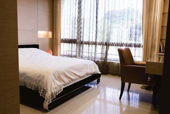 天鹅城堡的梦想家