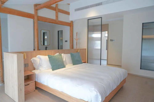 金华这个网红村新添高档乡宿, 吃 住 行 游 的一条龙服务