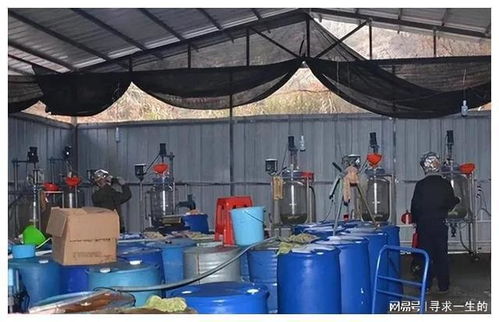 农村夫妇家中有8000万现金巨款,竟然还住破砖瓦房,真相如何