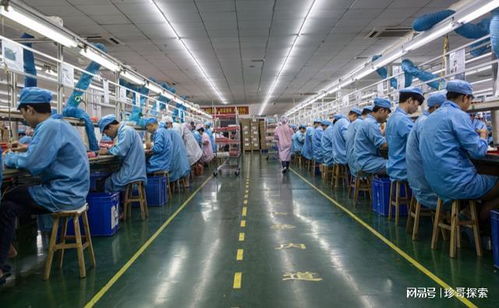 围村收费现象的法律透视 住宿服务权益与租赁关系解析